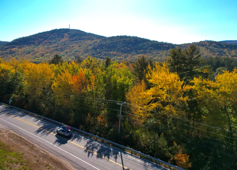 A car driving along a road through autumn trees, seen from above