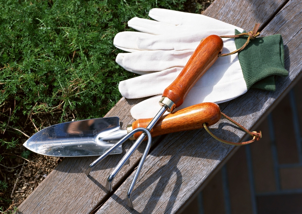 Garden gloves, a hand trowel and a hand fork resting on a wooden bench