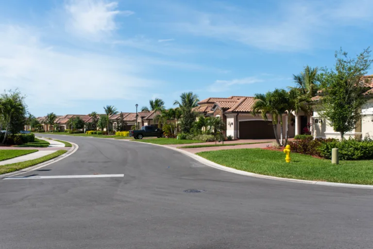 A quiet suburban street lined with palm trees and single-story homes