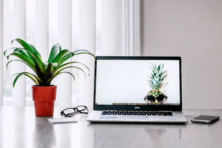 A laptop on a tidy desk with reading glasses, a phone and a potted plant