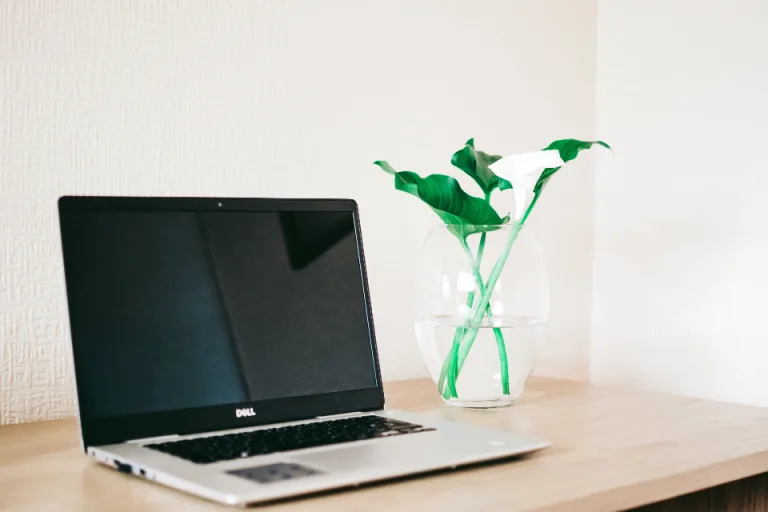 An open laptop on a wooden desk beside a glass vase with green leaves